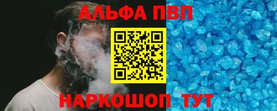 спиды Гай