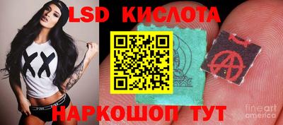 спиды Гай