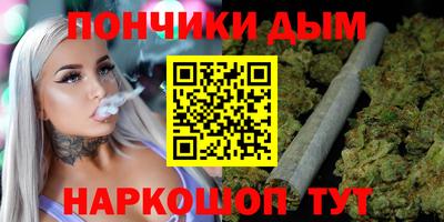 спиды Гай