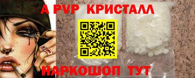 спиды Гай