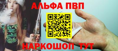спиды Гай