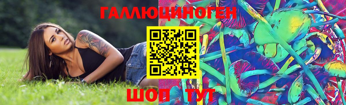 Галлюциногенные грибы Psilocybine cubensis Бутурлиновка