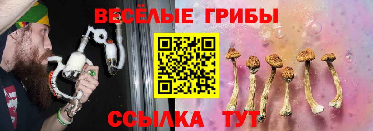 Бутурлиновка  Псилоцибиновые грибы прущие грибы  Вход с VPN 